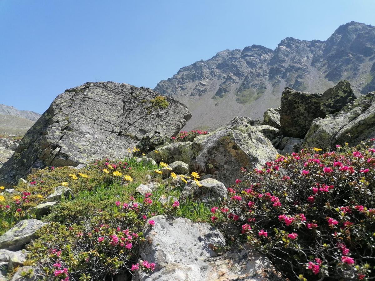 Haus Zur Muehle Lägenhet Ried im Oberinntal Exteriör bild